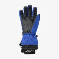AccXel Waterproof Ski Gloves Surf the Web