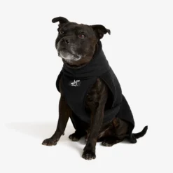 Bigfoot Dog Jacket Hund Black
