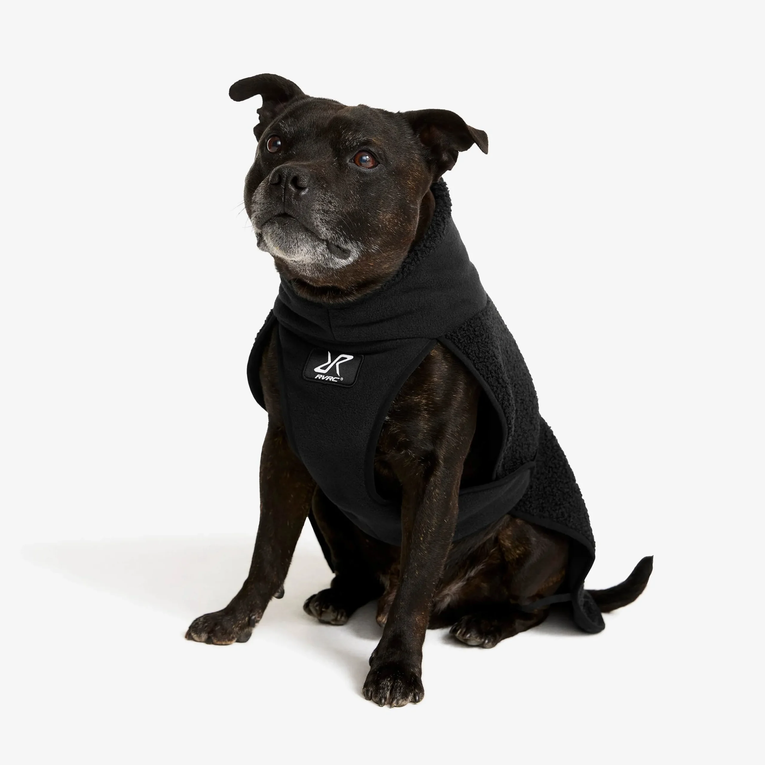Bigfoot Dog Jacket Hund Black