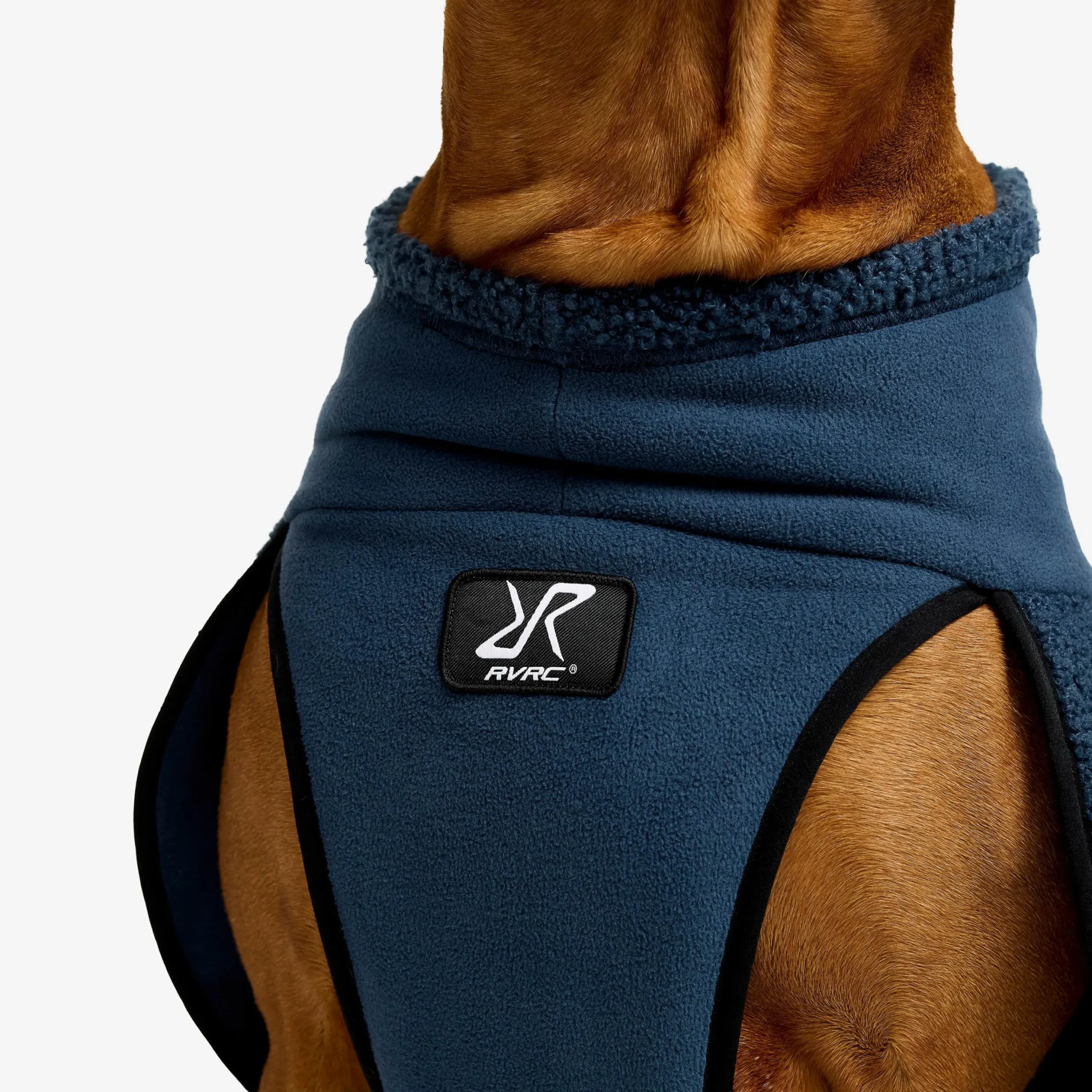 Bigfoot Dog Jacket Hund Moonlit Ocean