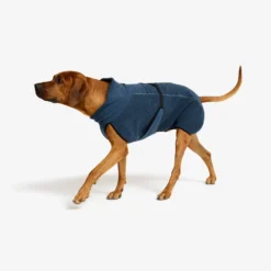 Bigfoot Dog Jacket Hund Moonlit Ocean