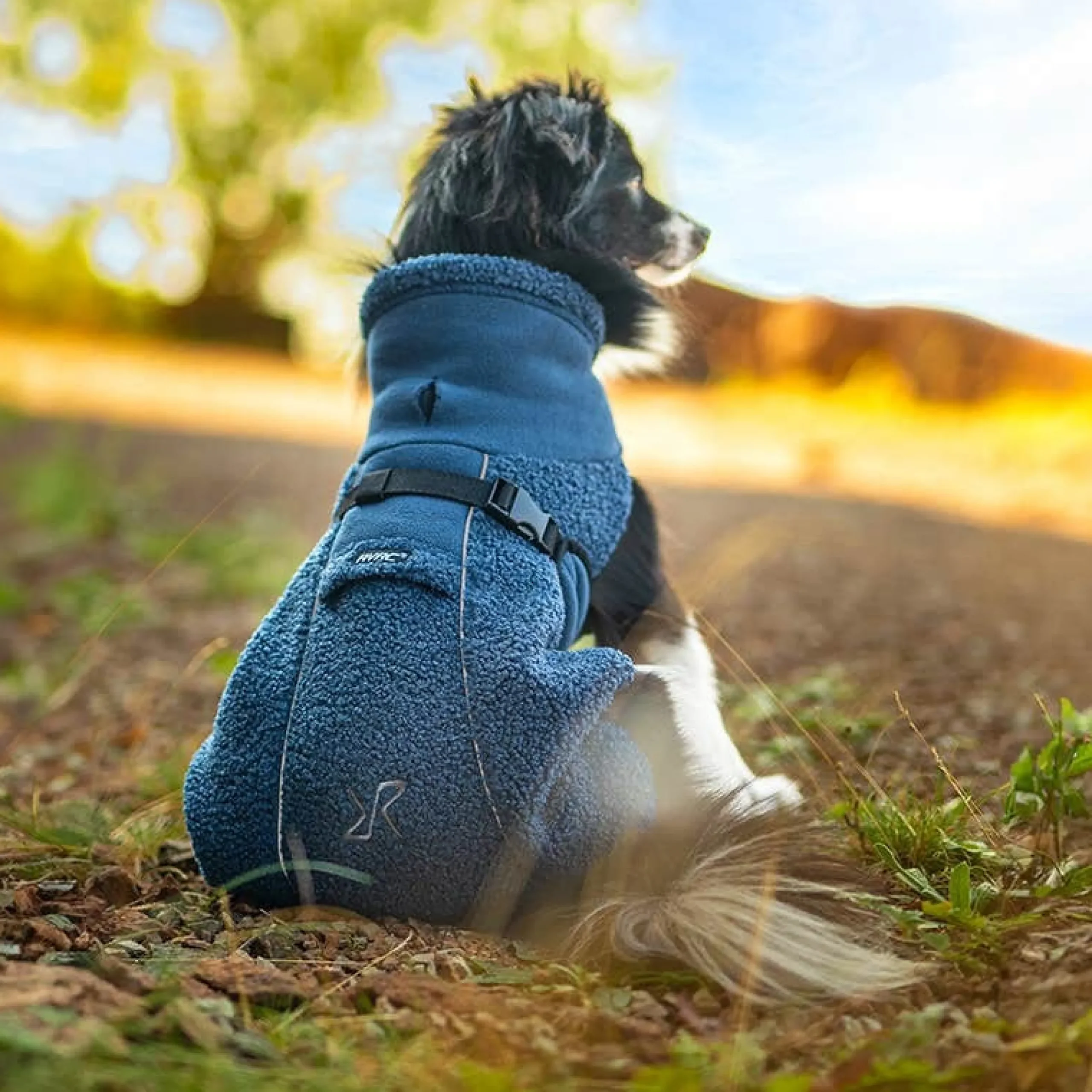 Bigfoot Dog Jacket Hund Moonlit Ocean