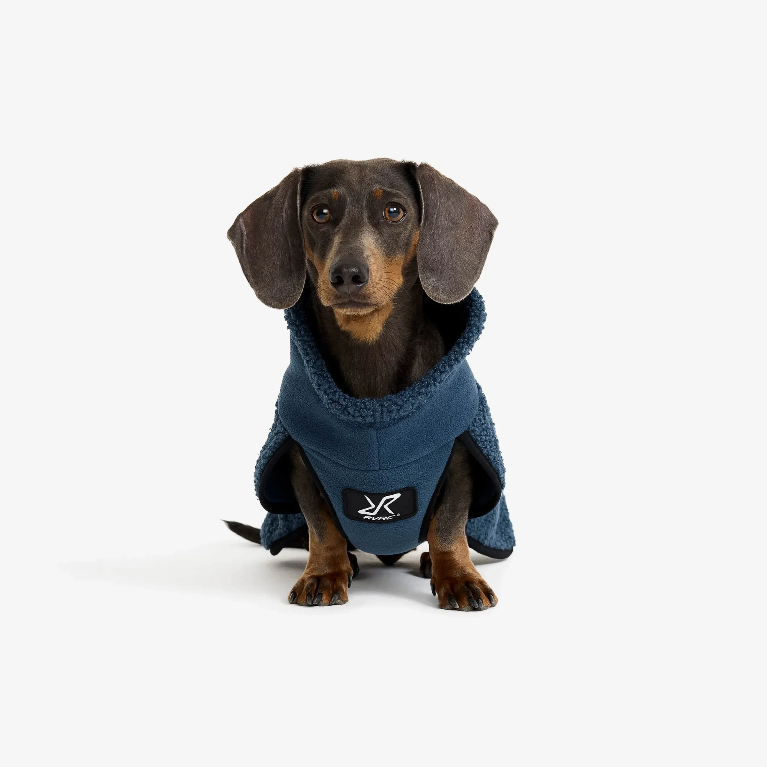 Bigfoot Dog Jacket Hund Moonlit Ocean