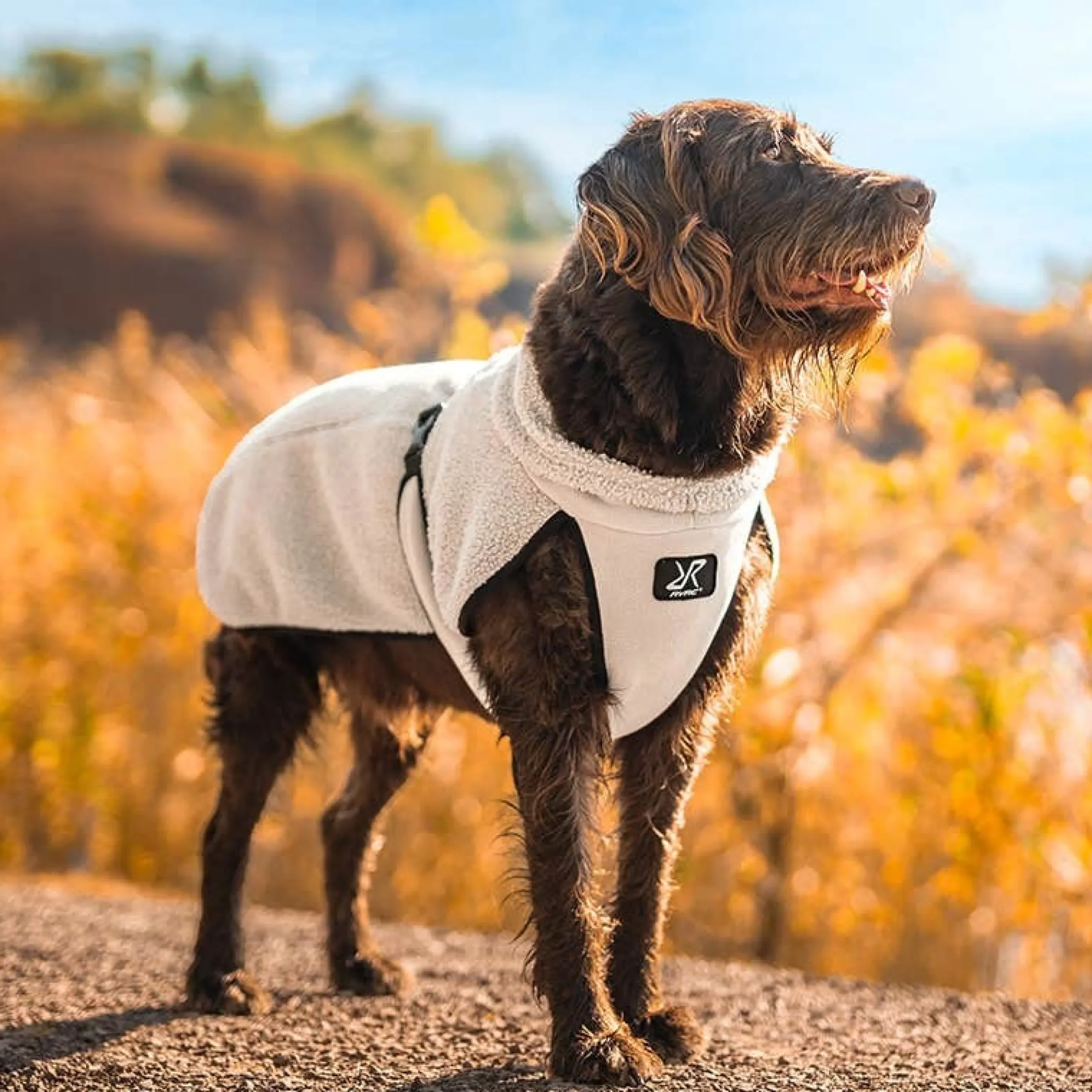 Bigfoot Dog Jacket Hund Peyote