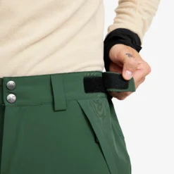 Cloud 3L Shell Pants Herren Garden Topiary