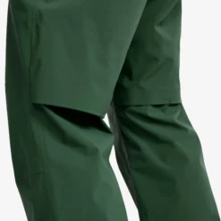 Cloud 3L Shell Pants Herren Garden Topiary