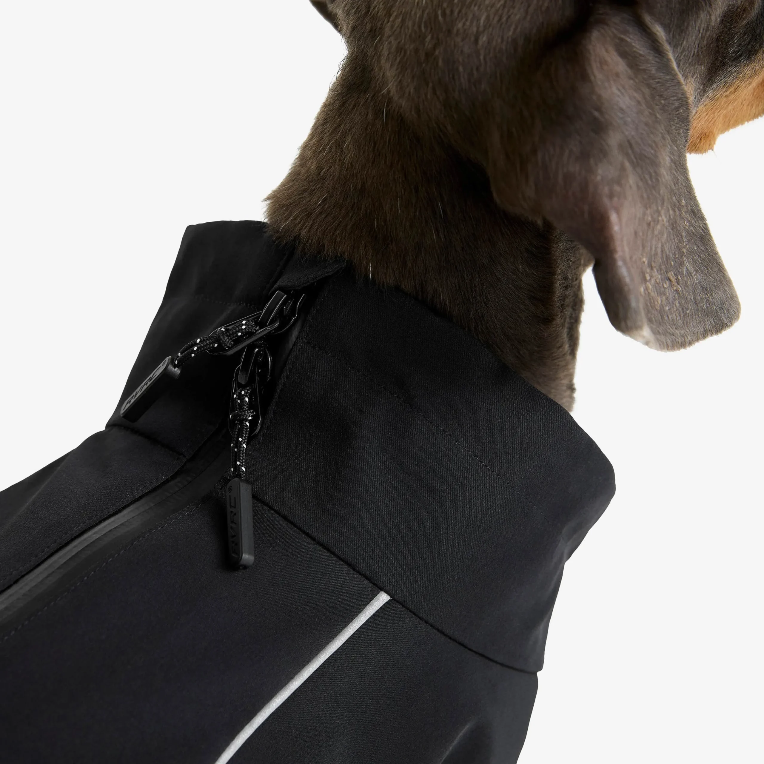 Cyclone Dog Jacket Hund Black