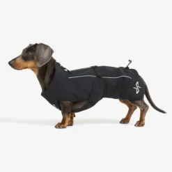 Cyclone Dog Jacket Hund Black