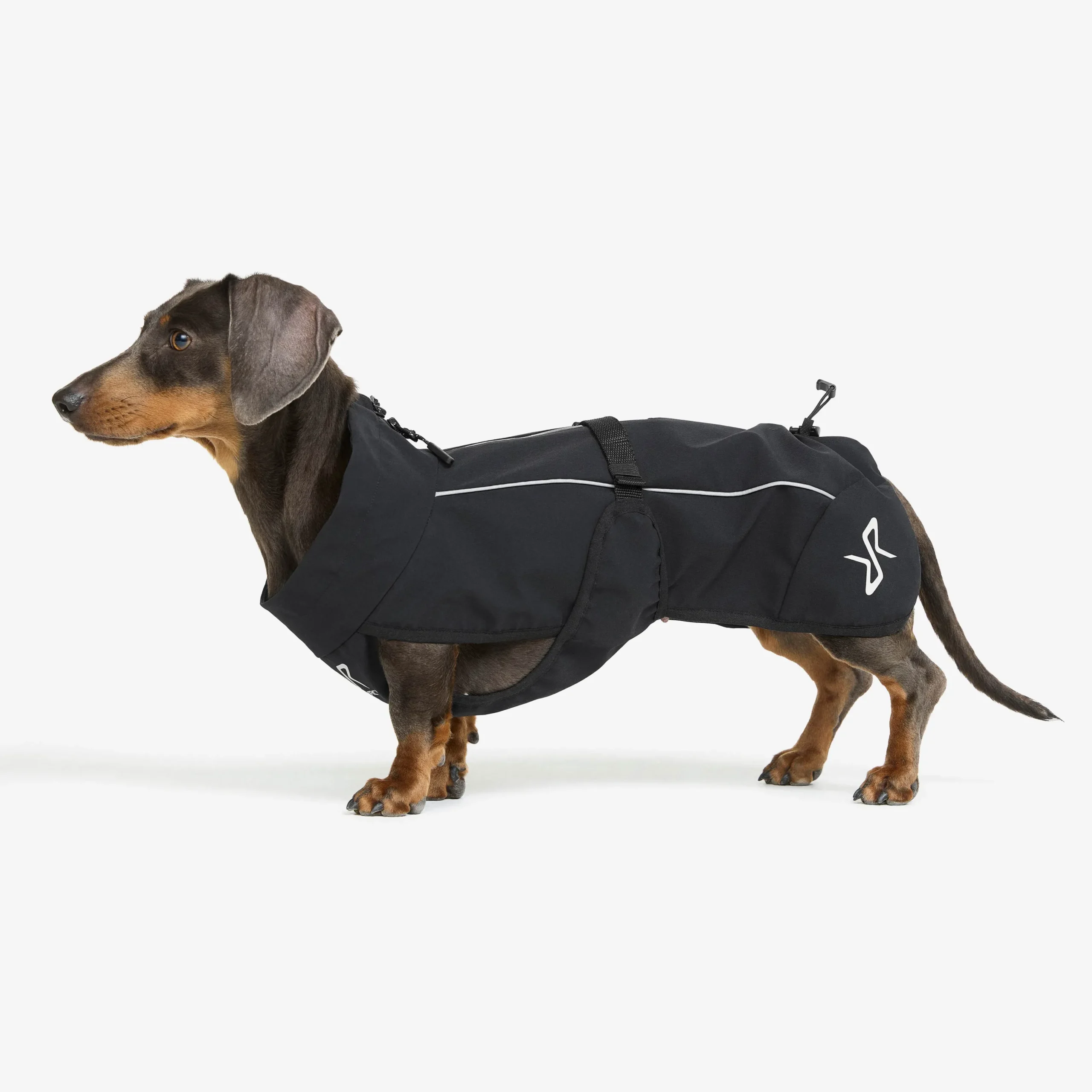 Cyclone Dog Jacket Hund Black