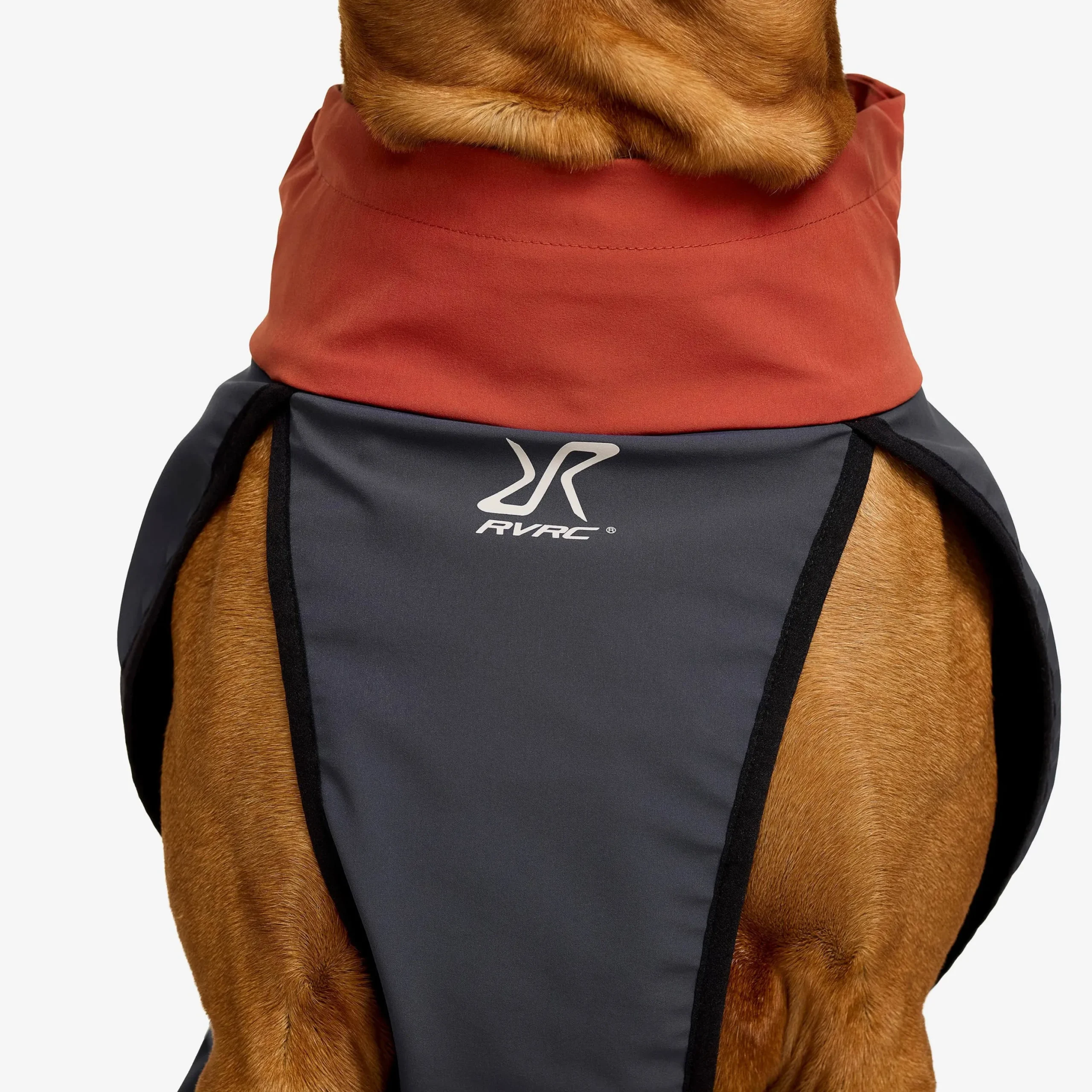 Cyclone Dog Jacket Hund Bossa Nova/India Ink