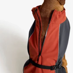 Cyclone Dog Jacket Hund Bossa Nova/India Ink