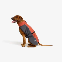 Cyclone Dog Jacket Hund Bossa Nova/India Ink