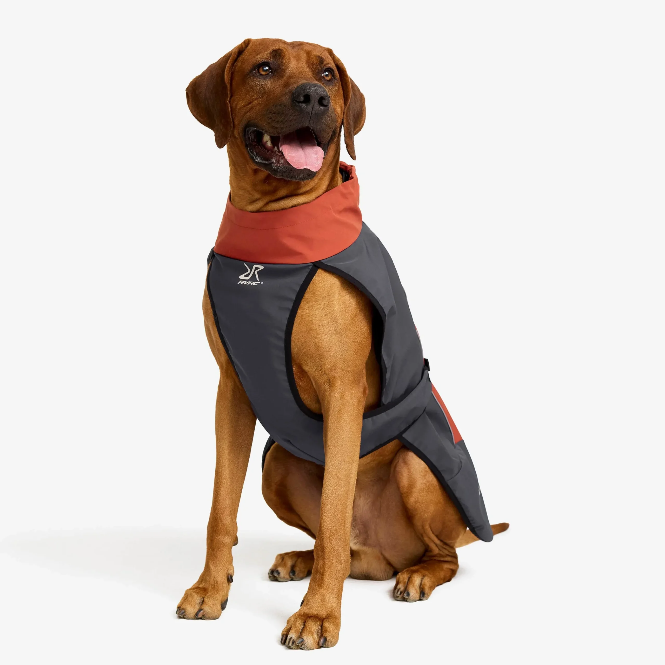 Cyclone Dog Jacket Hund Bossa Nova/India Ink