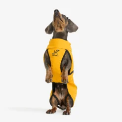 Cyclone Dog Jacket Hund Golden Yellow