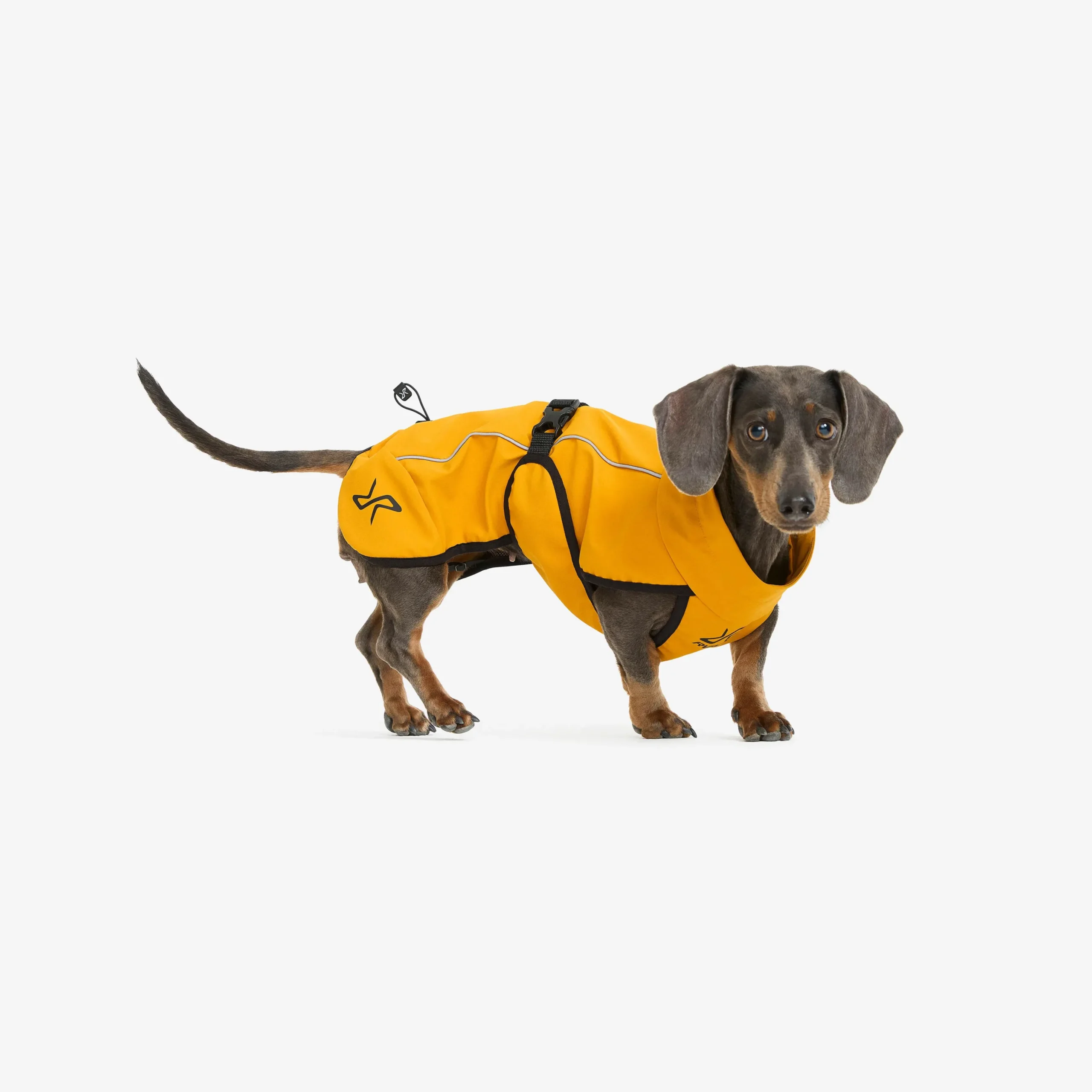 Cyclone Dog Jacket Hund Golden Yellow