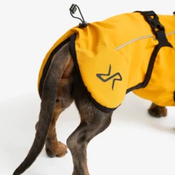 Cyclone Dog Jacket Hund Golden Yellow