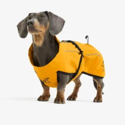 Cyclone Dog Jacket Hund Golden Yellow