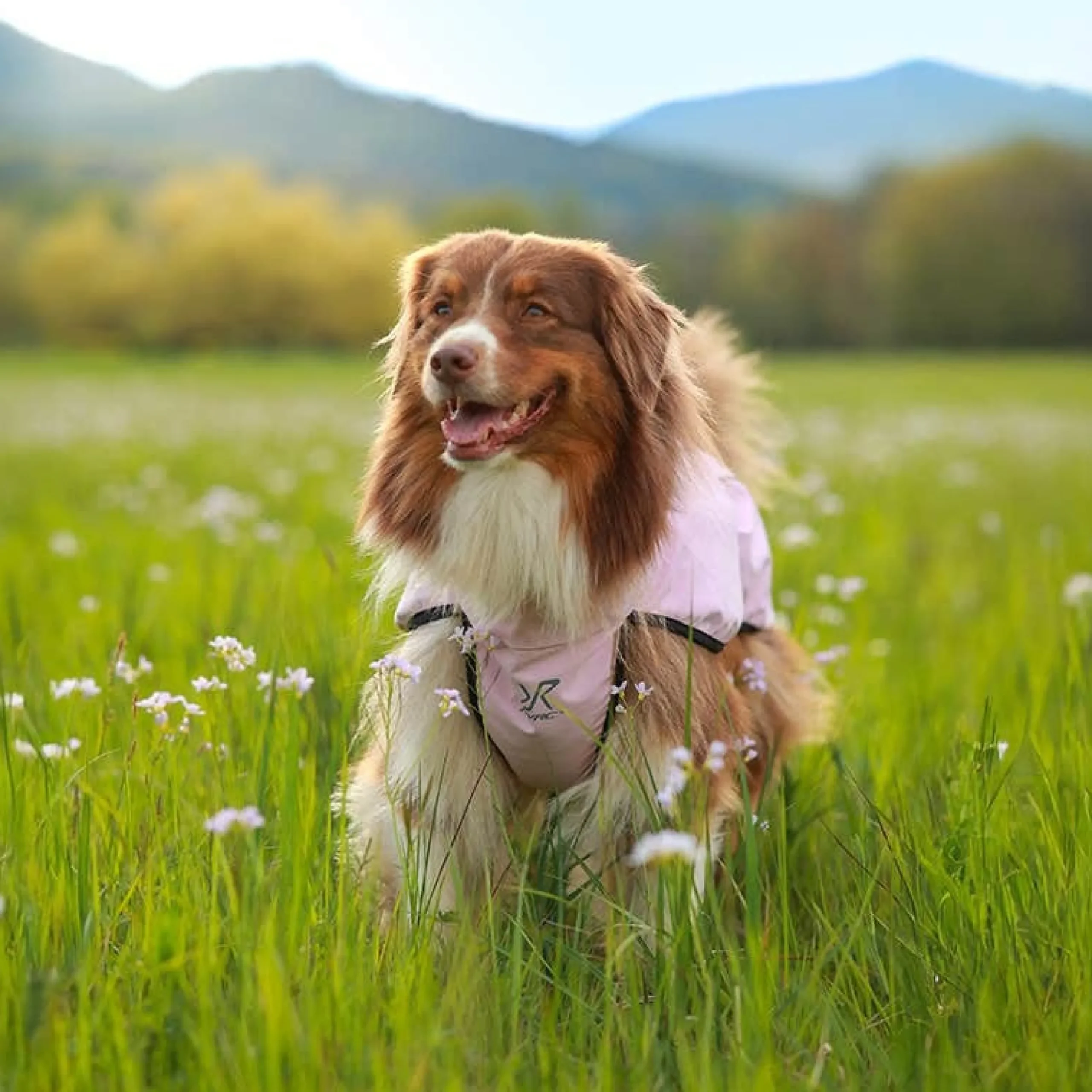 Cyclone Dog Jacket Hund Pink Mist