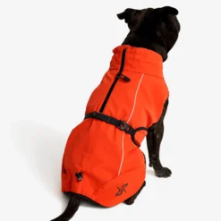 Cyclone Dog Jacket Hund Pureed Pumpkin