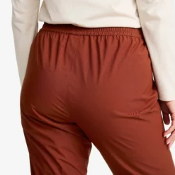 Vector 2L Pants Damen Fired Brick