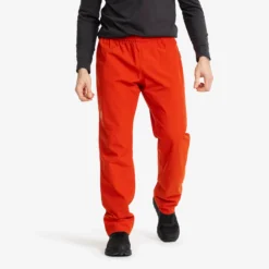 Vector 2L Pants Herren Autumn